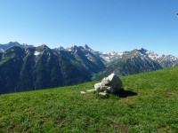 Blick ins Sulzltal