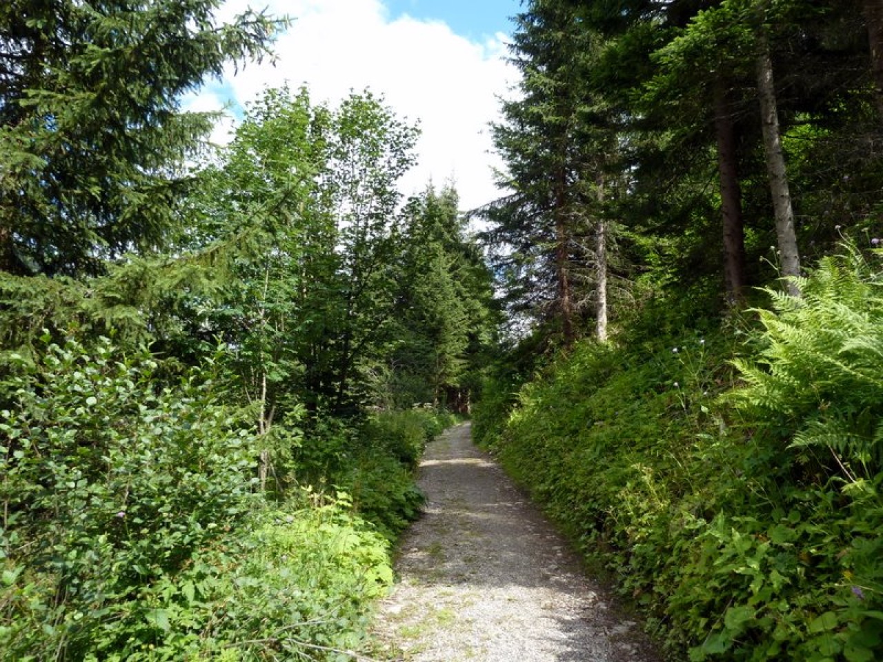  Schotterweg Geierwally Rundweg