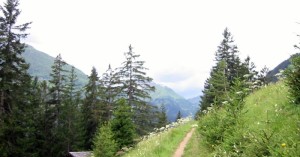  Auf dem Hager