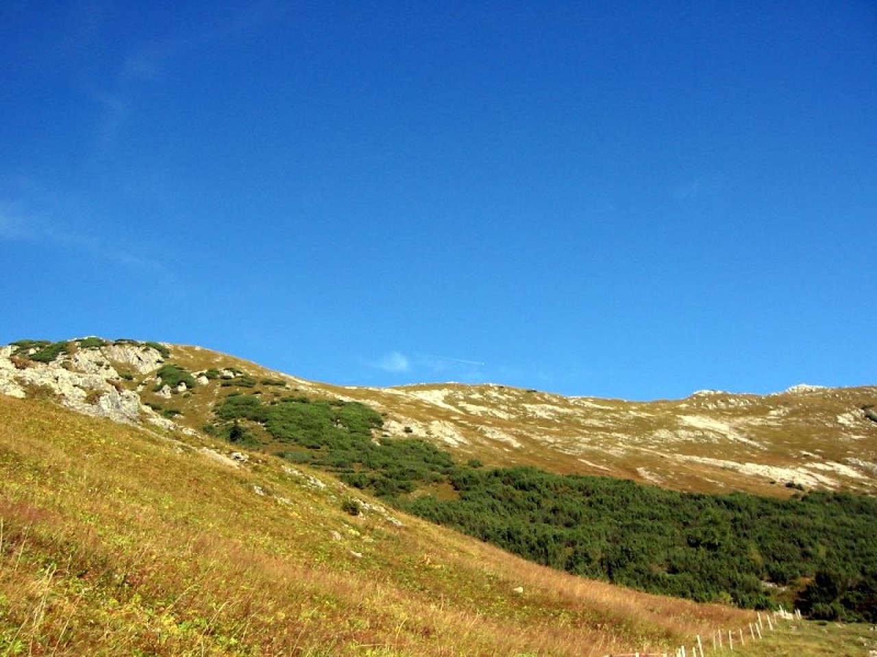  Auf dem Weg zum Hahnleskopf