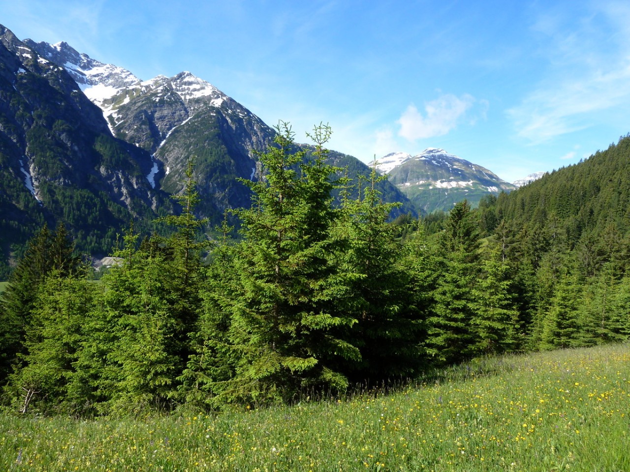  Blick ins Höhenbachtal