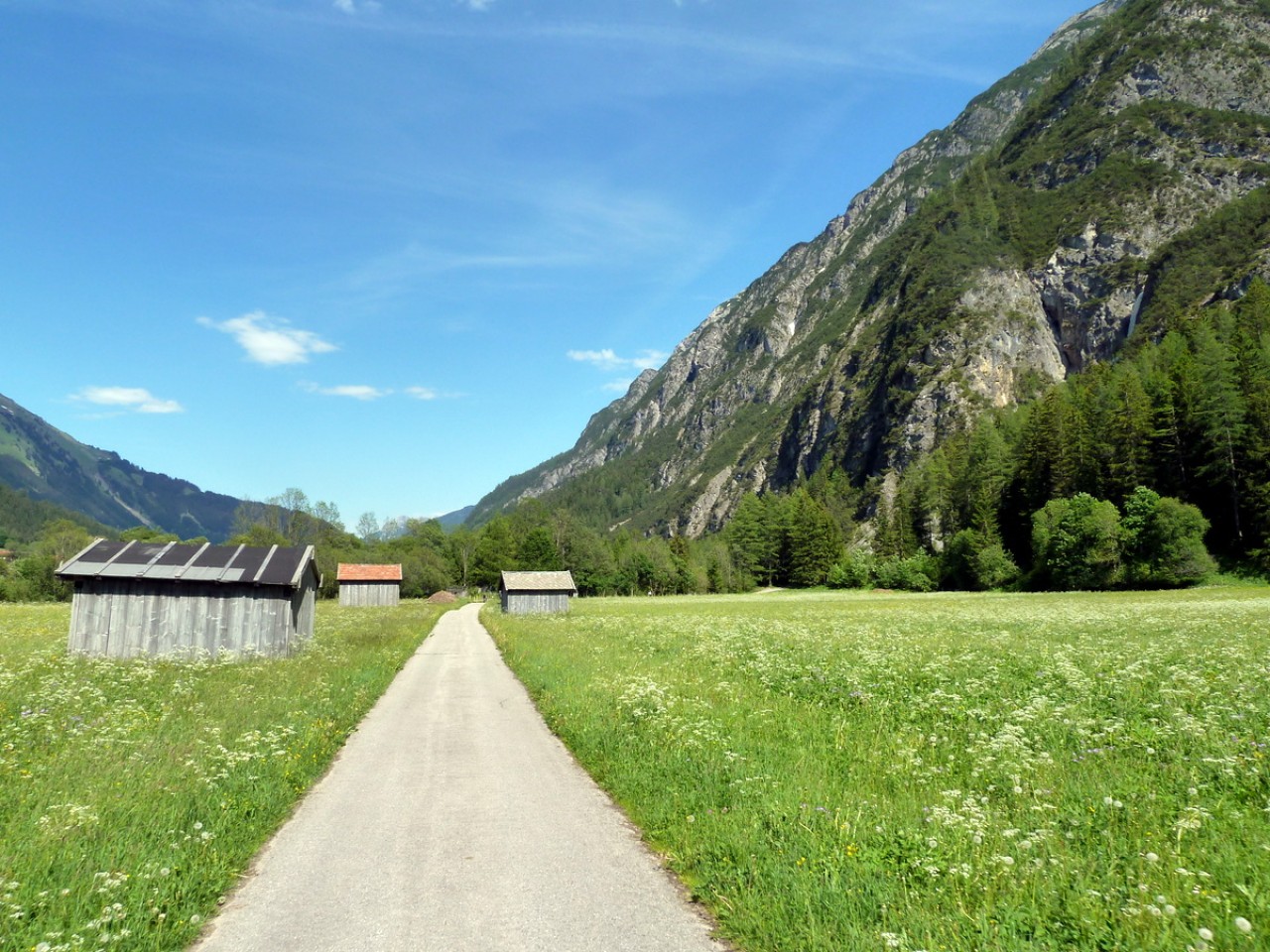  Dickenau