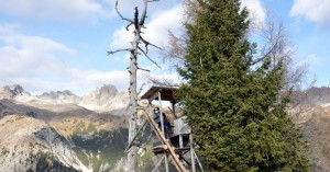  Hochstand