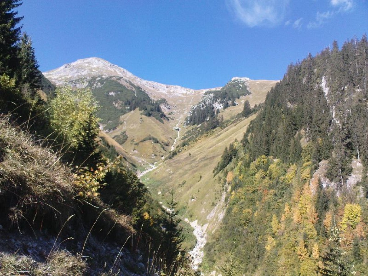  Holzgauer Muttekopf