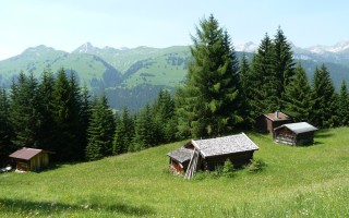  Hütten auf der Wasen