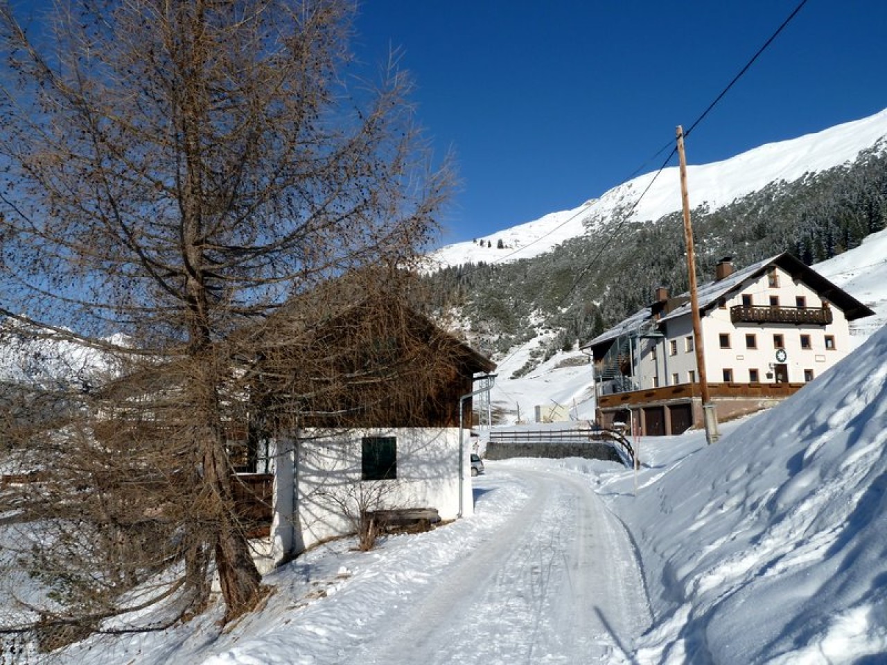  Kaisers Winter