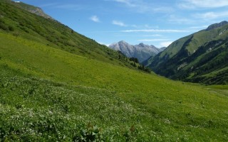  Krabach