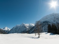 Schiggen