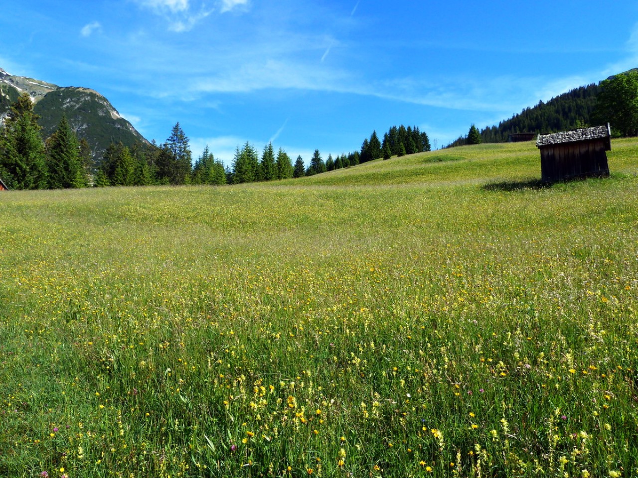  Schiggen