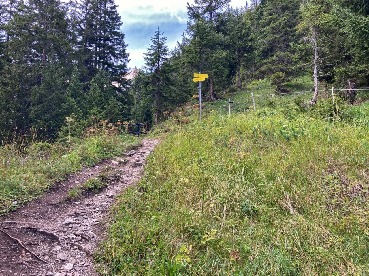  Abzweigung Hermann von Barth Hütte und Rotwand