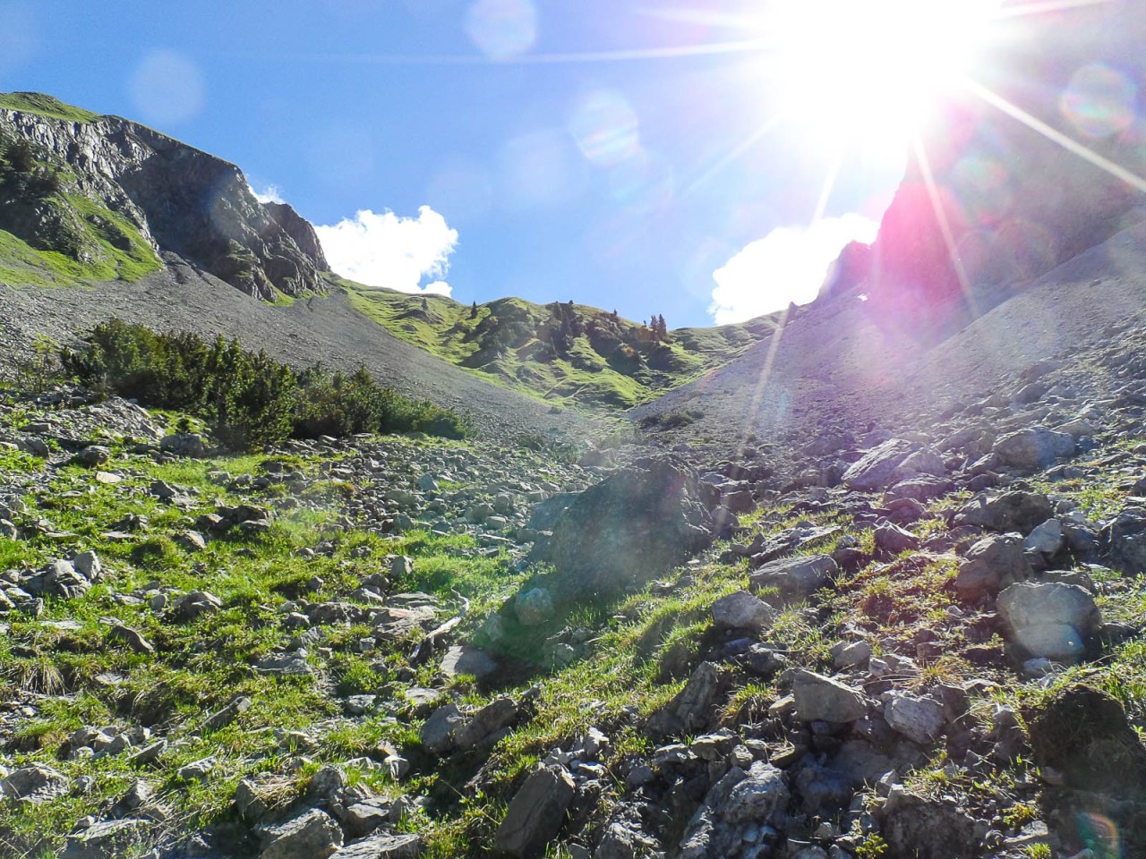  Sattele im Sonnenlicht