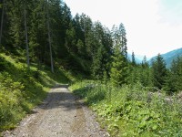 Grünauer Höhenweg