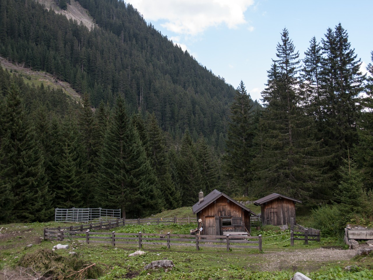  Zargenalpe