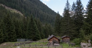  Zargenalpe