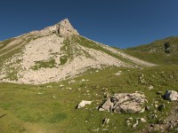 Aplespleisspitze