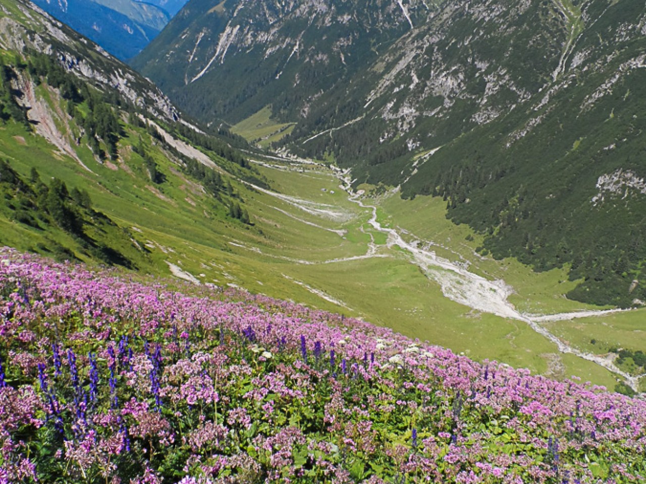  das Plötzigtal