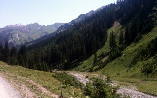  Almajurbach