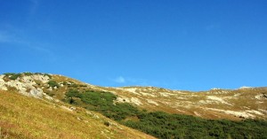  Auf dem Weg zum Hahnleskopf