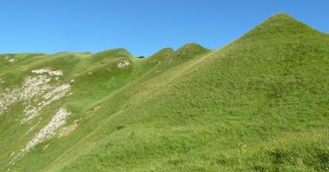  Biberkopf
