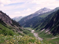 Bodenalpe - Alpe Erlach - Almajurtal