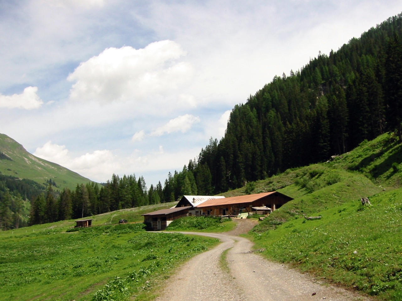  Bodenalpe - Alpe Erlach - Almajurtal