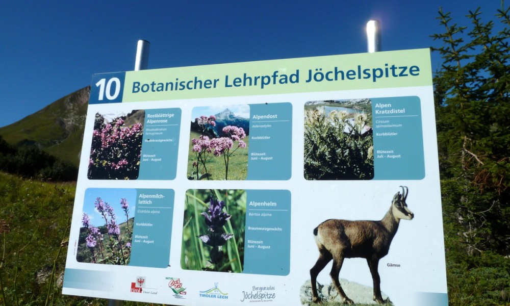  Botanischer Lehrpfad