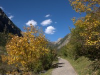 Herbst im Höhenbachtal