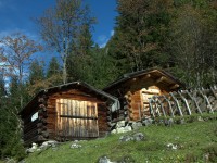 Heupille Höhenbachtal