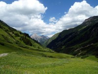 Krabach