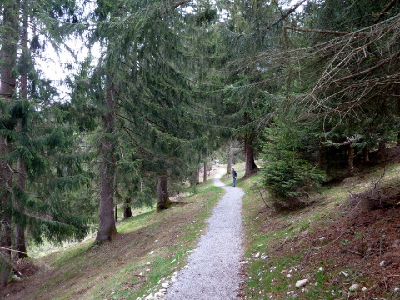  Lechweg - Richtung Holzgauer Hängebrücke