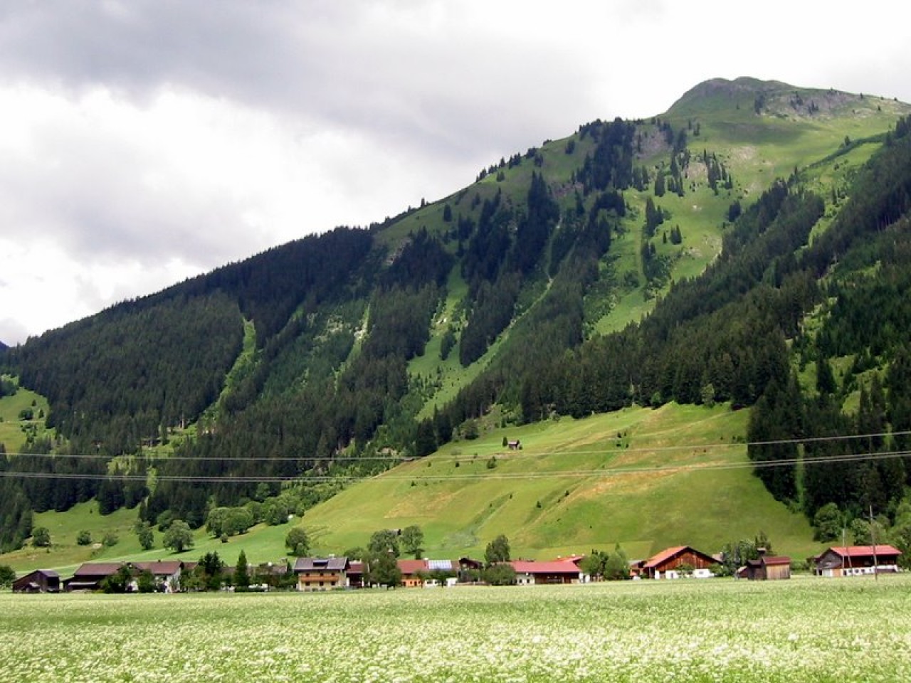  Schönau