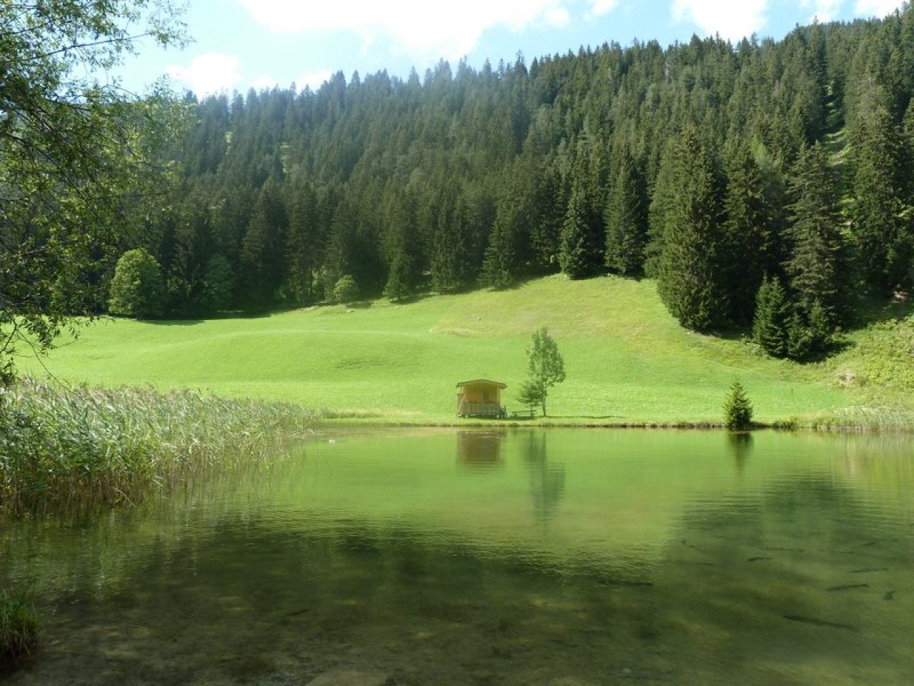  Seesumpf -Bach