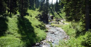  Spullerbach und Zelt