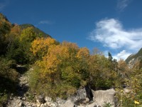 oberhalb dem Simms-Wasserfall