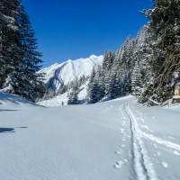  Sonnalm Joechelspitze