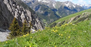 Auf dem Sattele