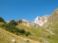 Freispitze