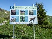 Botanischer Lehrpfad