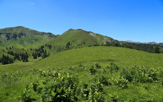  Galtjoch und Rainberg