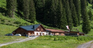 Bodenalpe im Almajurtal