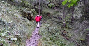  Zwischen Ort der Stille und Höllltalschlucht