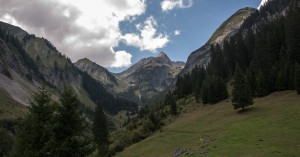  Bernhardstal