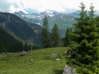 Blick zu den Allgäuer Alpen