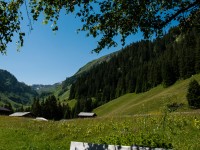 Bockbach - Gams Vroni