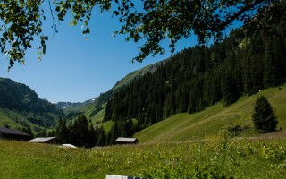  Bockbach - Gams Vroni