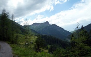  Blick Richtung Birchetsgump