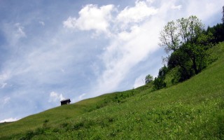  Bodenalpe - Alpe Erlach - Almajurtal