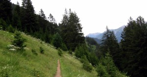  Hager - höchste Stelle
