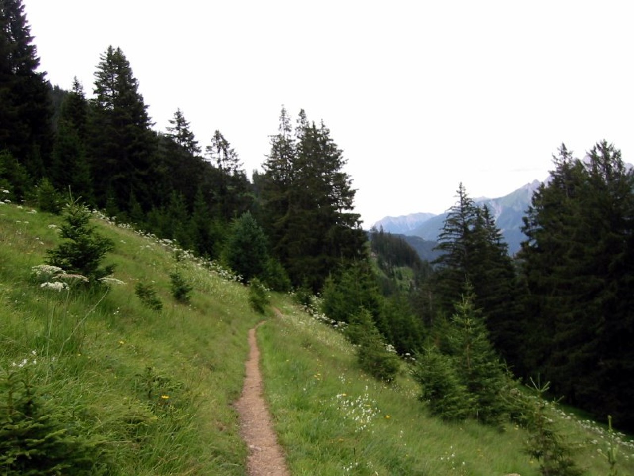  Hager - höchste Stelle