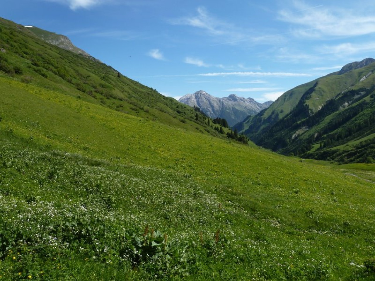  Krabach